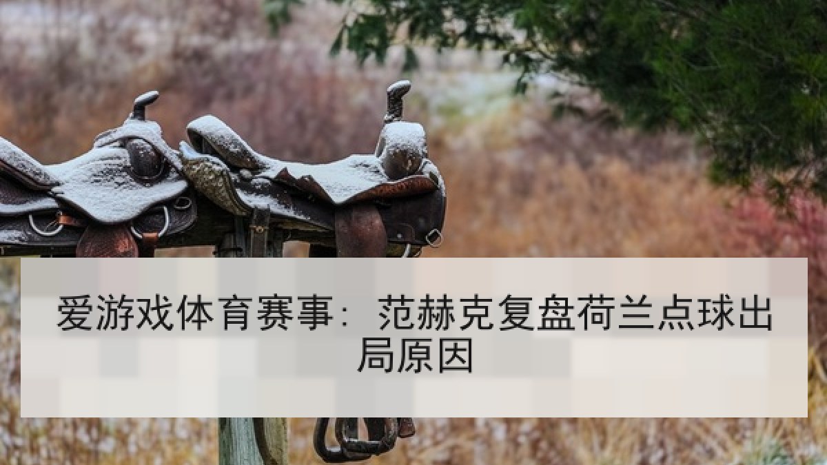爱游戏体育赛事: 范赫克复盘荷兰点球出局原因