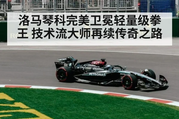 洛马琴科完美卫冕轻量级拳王 技术流大师再续传奇之路